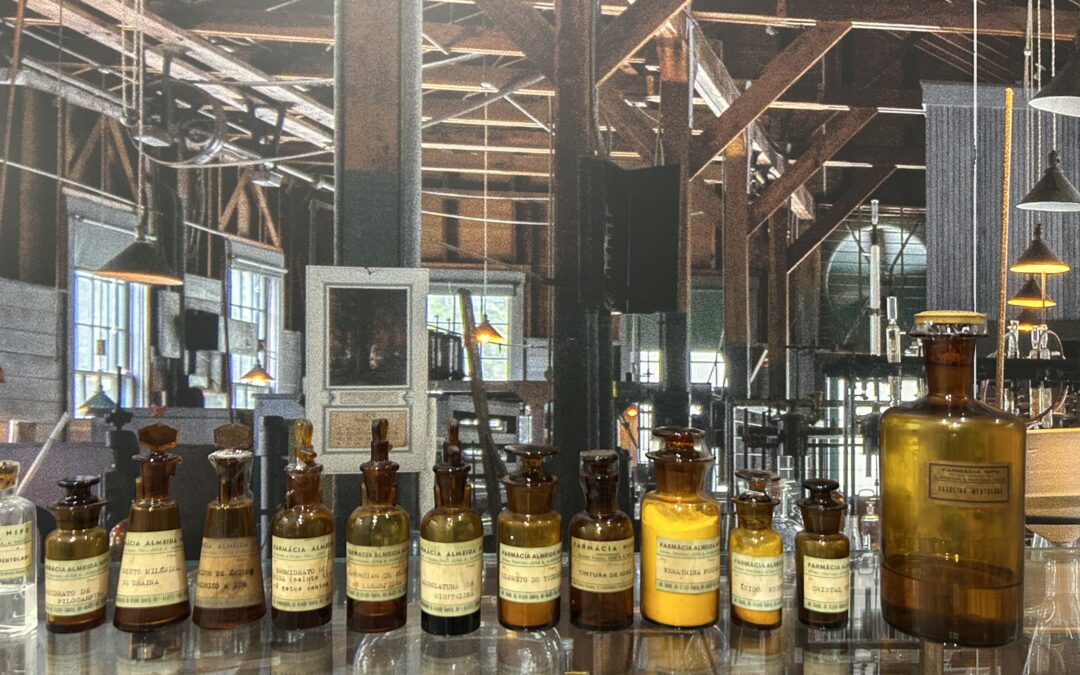 A coleção da Fundação Casa Hermes continua a crescer — e com ela, novas histórias ganham lugar no nosso percurso expositivo. ✨